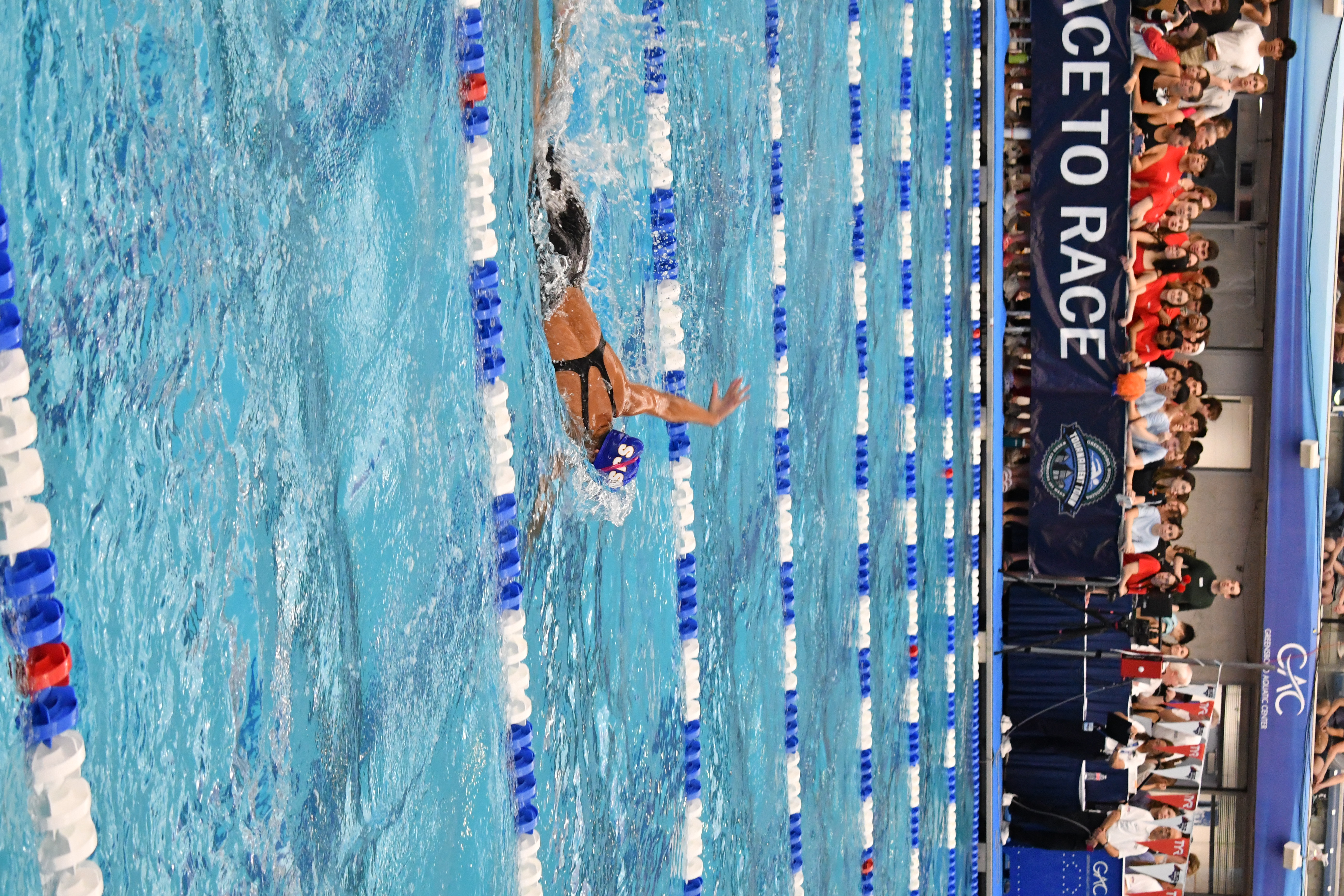SJSU Swim Club practice